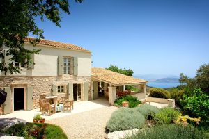 1-MAIN-Campanula-202-1