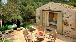 6-Rou-Campanula-014-1110×623