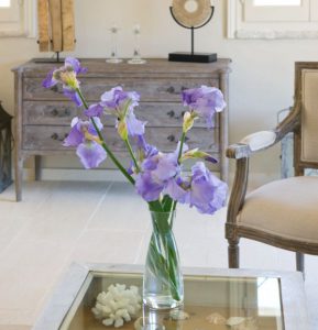 Lilium10