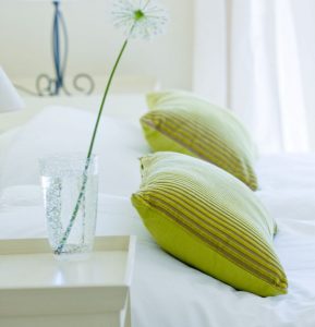 Lilium12